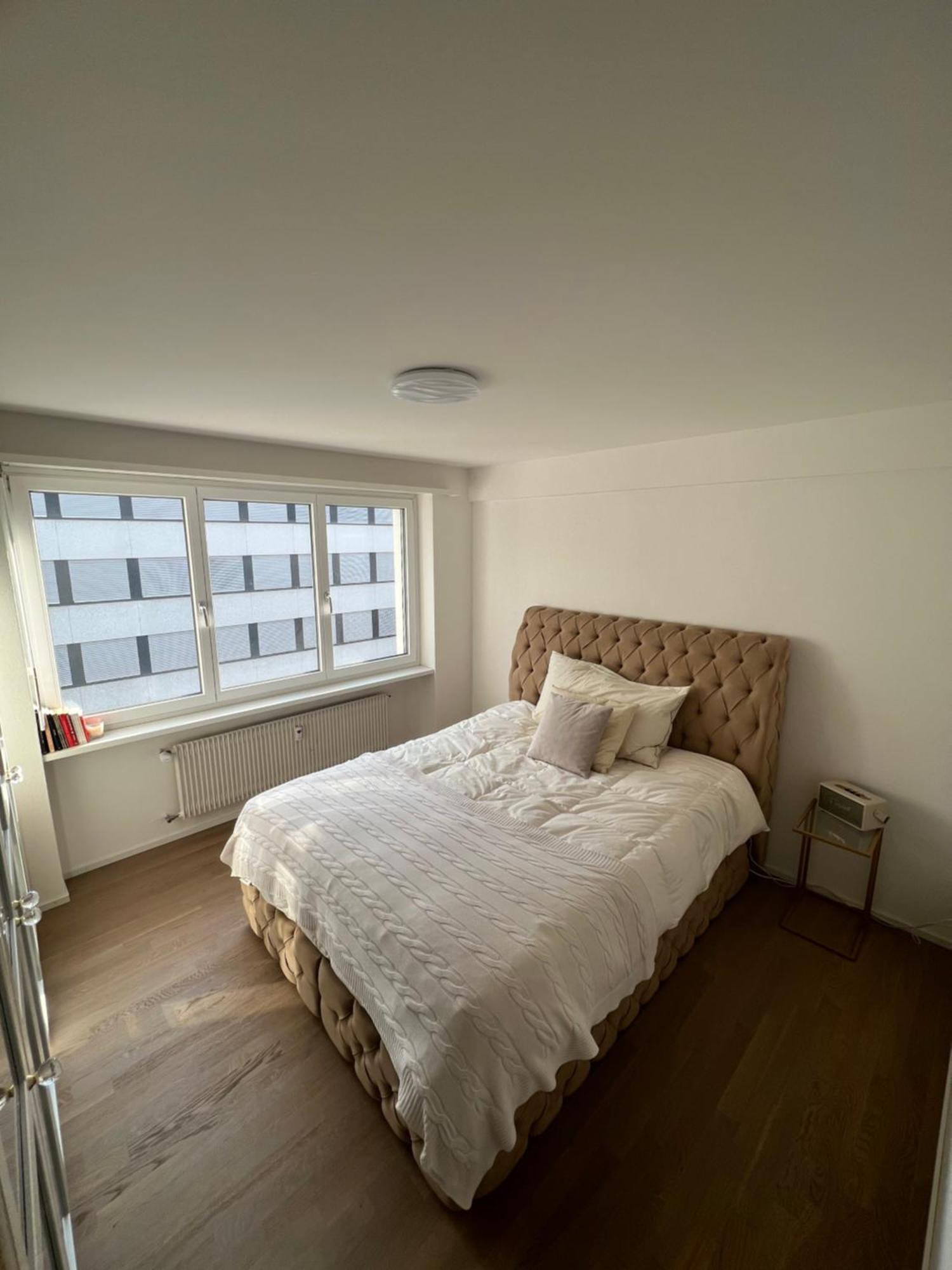 Best Located & Fully Equipped Apartment At Basel Sbb Main Station Esterno foto